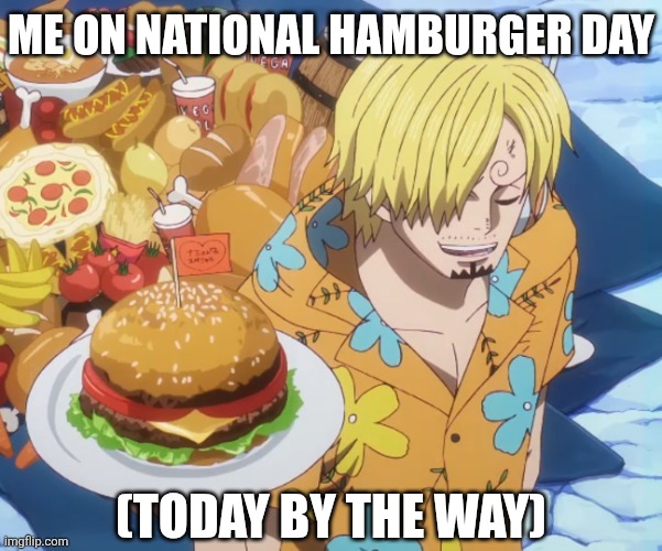 528 | ME ON NATIONAL HAMBURGER DAY; (TODAY BY THE WAY) | image tagged in memes,anime,one piece | made w/ Imgflip meme maker
