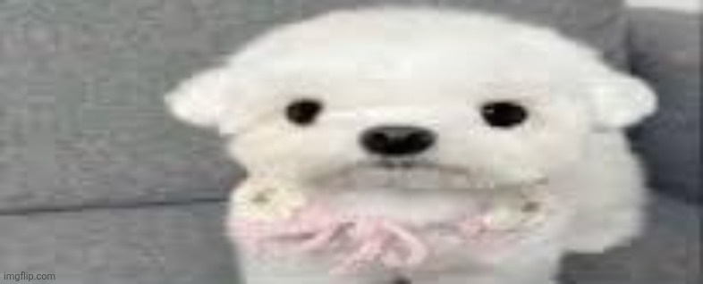 Dog stating | image tagged in dog stating | made w/ Imgflip meme maker