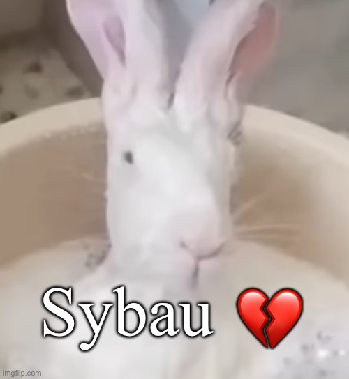 Sybau rabbit | 💔; Sybau | image tagged in img_1026 jpeg | made w/ Imgflip meme maker
