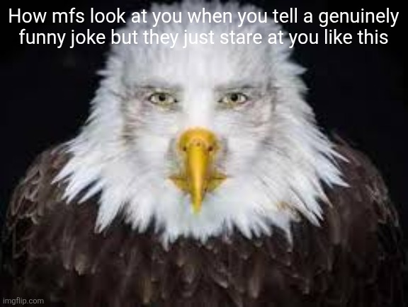 Human faced eagle | How mfs look at you when you tell a genuinely funny joke but they just stare at you like this | image tagged in human faced eagle | made w/ Imgflip meme maker