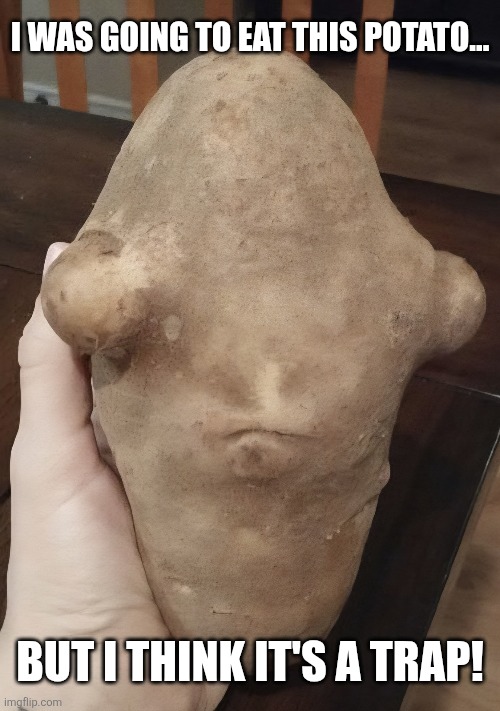Potato head | I was going to eat this potato... But I think it's a trap! | image tagged in star wars,potato,its a trap,alien | made w/ Imgflip meme maker