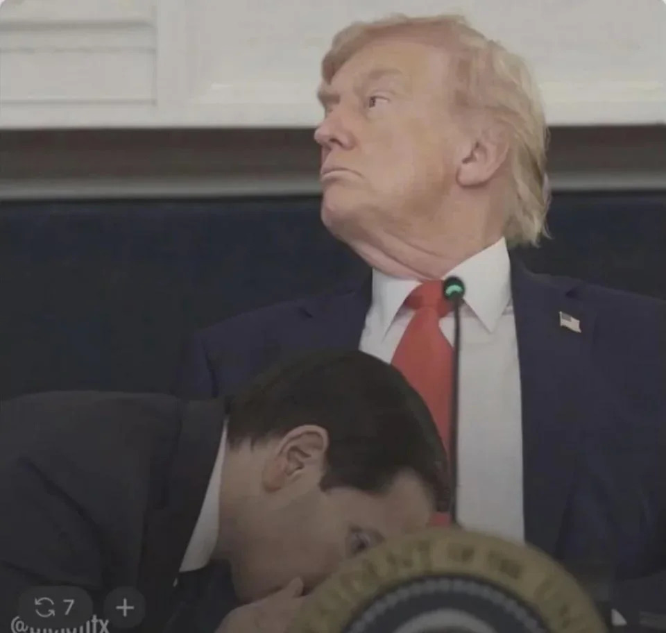 donald getting head Blank Meme Template