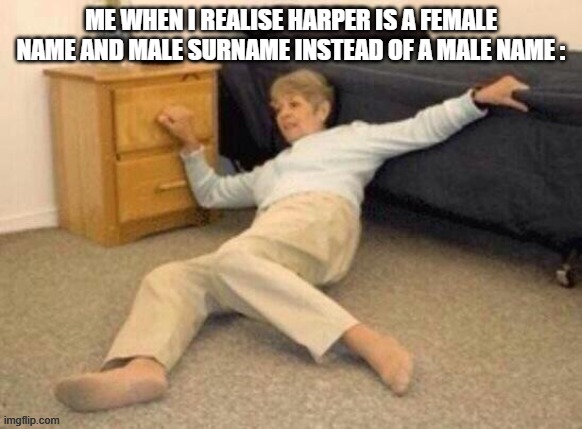 SOMETIMES CHATGPT NAMEING STYTEM IS DUMB | ME WHEN I REALISE HARPER IS A FEMALE NAME AND MALE SURNAME INSTEAD OF A MALE NAME : | image tagged in woman falling in shock,memes,facts,gpt memes | made w/ Imgflip meme maker