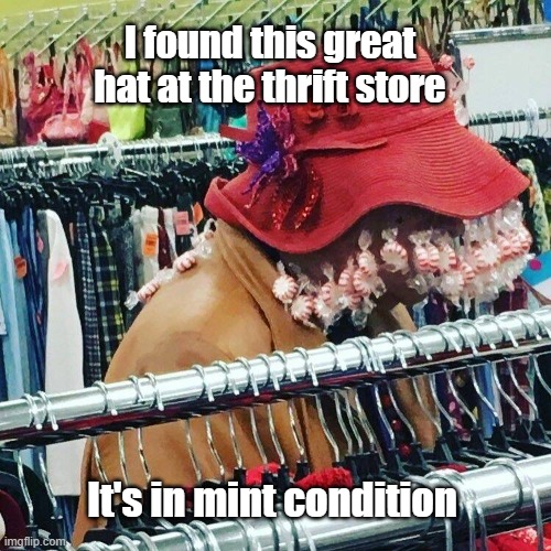 Thrift Store | I found this great hat at the thrift store; It's in mint condition | image tagged in hat,clothing,thrift,mint | made w/ Imgflip meme maker