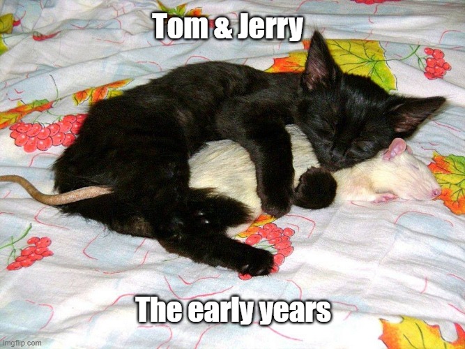 Tom & Jerry | Tom & Jerry; The early years | image tagged in tom and jerry,early,chase,buddies | made w/ Imgflip meme maker