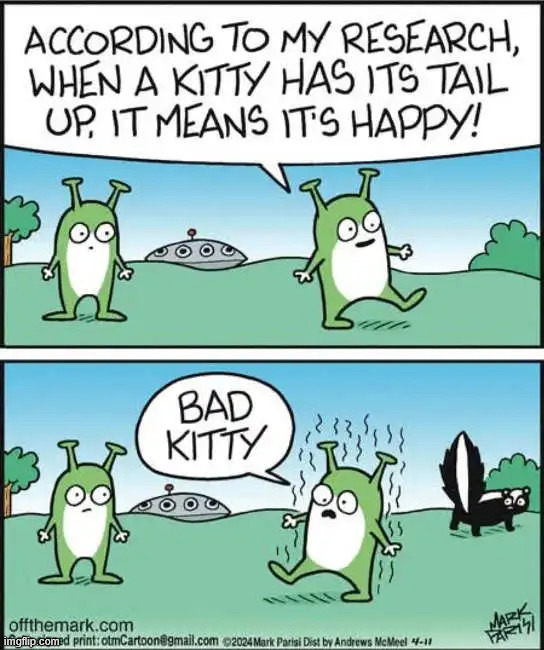 Bad kitty | image tagged in repost,bad kitty | made w/ Imgflip meme maker