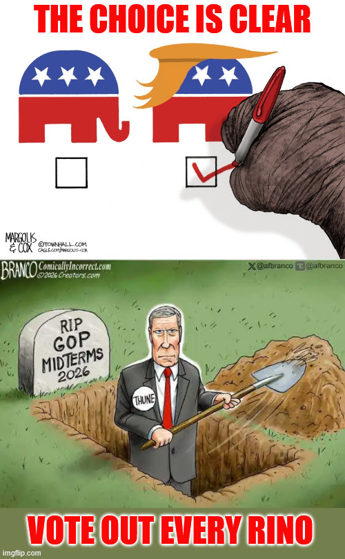 The choice is clear | The choice is clear; Vote out every Rino | image tagged in political,reposts,vote out every rino | made w/ Imgflip meme maker