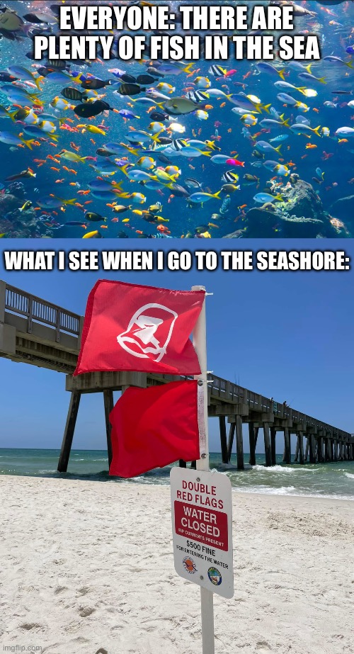 There are plenty of fish in the sea | Everyone: there are plenty of fish in the sea; What I see when I go to the seashore: | image tagged in fish in the sea,dating,red,flags,warning | made w/ Imgflip meme maker