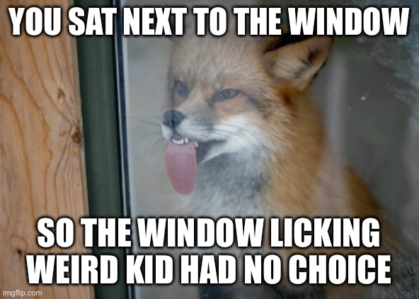 fox licking window | You sat next to the window; So the window licking weird kid had no choice | image tagged in fox licking window | made w/ Imgflip meme maker