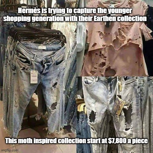 Holey Moley | Hermès is trying to capture the younger shopping generation with their Earthen collection; This moth inspired collection start at $7,800 a piece | image tagged in clothes,holey,what's eating you,expensive | made w/ Imgflip meme maker