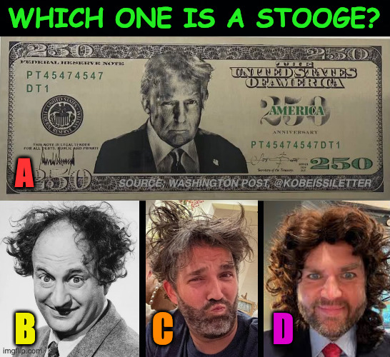 Nyuk, nyuk, nyuk, and schmuck. | which one is a stooge? a; B; C; D | image tagged in memes,stooges | made w/ Imgflip meme maker