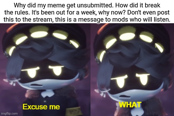 Why bro | Why did my meme get unsubmitted. How did it break the rules. It's been out for a week, why now? Don't even post this to the stream, this is a message to mods who will listen. | image tagged in excuse me what n edition | made w/ Imgflip meme maker