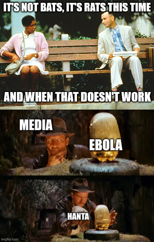 Next plandemic coming | It's not bats, it's rats this time; and when that doesn't work | image tagged in brace yourself for next plandemic,ebola,just in time for world cup | made w/ Imgflip meme maker