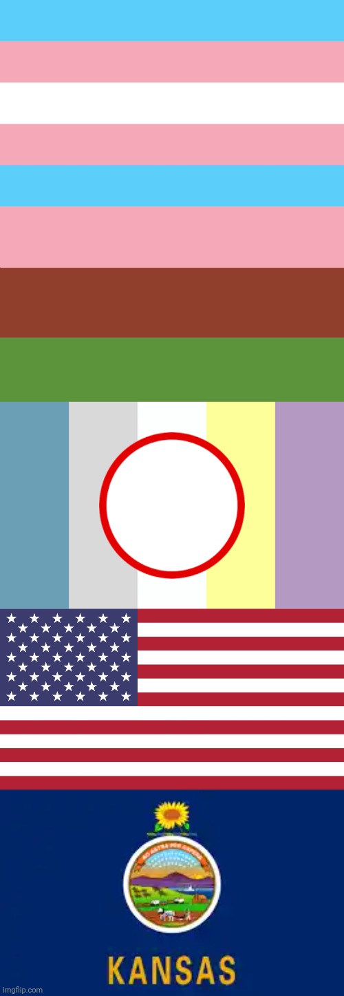 The two in between the trans and the US flag is objectum and Gynosexual (my flags methinks) | image tagged in trans flag,flag of usa | made w/ Imgflip meme maker