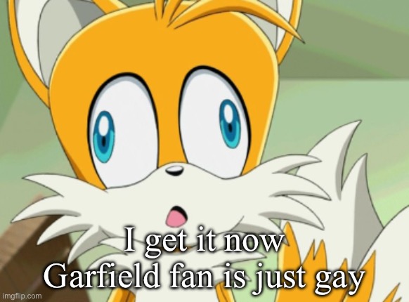 If a twitter right wing found him they would have a field day | I get it now Garfield fan is just gay | image tagged in tails derp | made w/ Imgflip meme maker