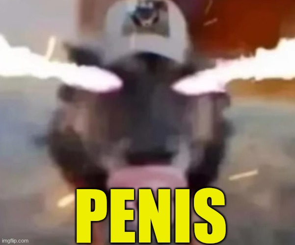 sigma dawg sucking on da binky | penis | image tagged in sigma dawg sucking on da binky | made w/ Imgflip meme maker