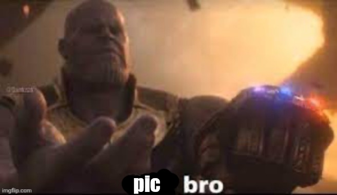 link bro | pic | image tagged in link bro | made w/ Imgflip meme maker