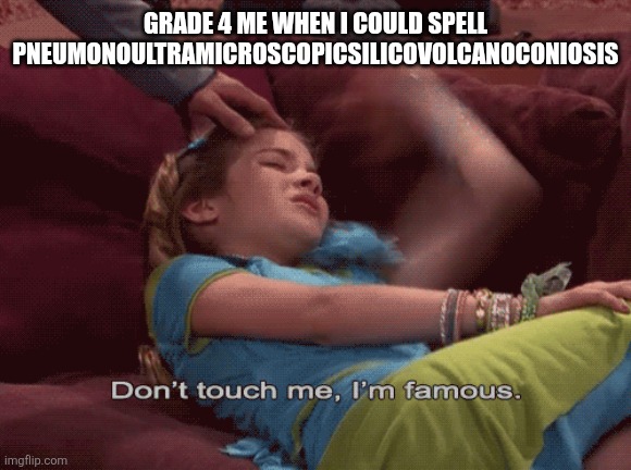 Don't Touch me I'm famous | Grade 4 me when i could spell pneumonoultramicroscopicsilicovolcanoconiosis | image tagged in don't touch me i'm famous | made w/ Imgflip meme maker
