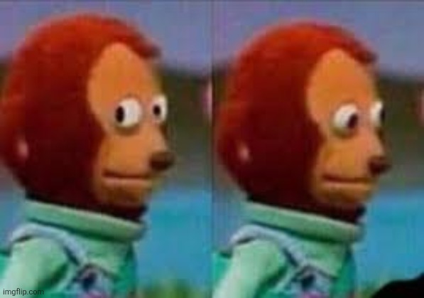 Monkey Puppet Meme Full | image tagged in monkey puppet meme full | made w/ Imgflip meme maker