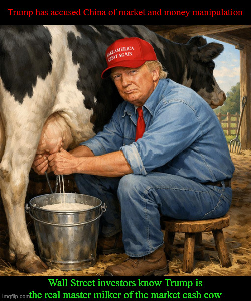 Moolah Market Milker | Trump has accused China of market and money manipulation; Wall Street investors know Trump is the real master milker of the market cash cow | image tagged in moolah market milker,trump market manipulator,trump cashes in you pay more,maga money,cha-ching | made w/ Imgflip meme maker