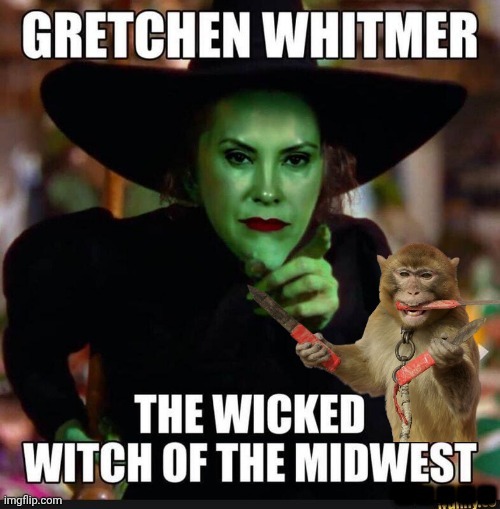 Wicked Witchmer | image tagged in wicked witchmer | made w/ Imgflip meme maker