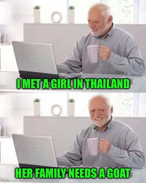 Hide the Pain Harold Meme | I met a girl in Thailand; Her family needs a goat | image tagged in memes,hide the pain harold | made w/ Imgflip meme maker