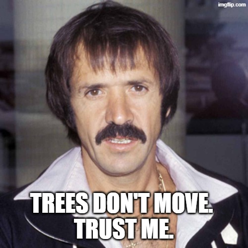Sonny bono | trees don't move. 
trust me. | image tagged in sonny bono | made w/ Imgflip meme maker