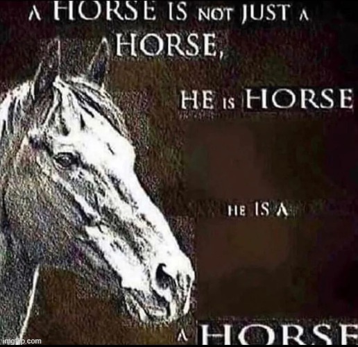 can we confirm it is a horse: | made w/ Imgflip meme maker