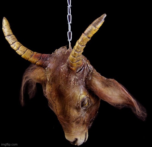 Severed goat head hanging JPP | image tagged in severed goat head hanging jpp | made w/ Imgflip meme maker