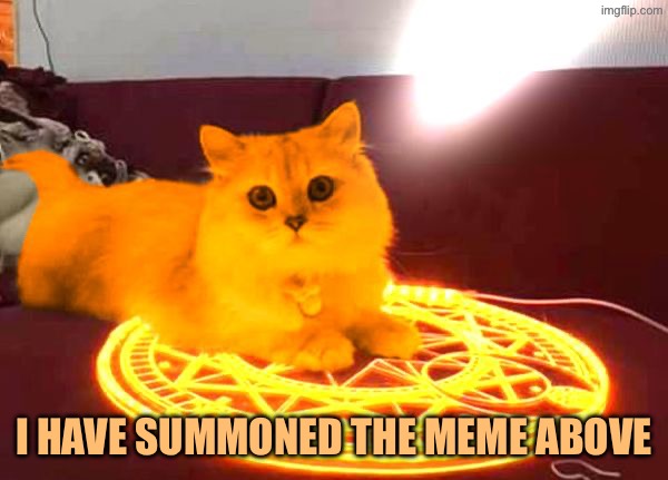 RayCat Powers | I have summoned the meme above | image tagged in raycat powers | made w/ Imgflip meme maker