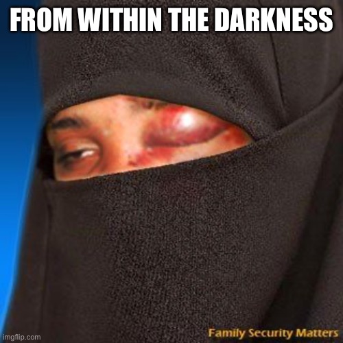 Muslim woman | From within the darkness | image tagged in muslim woman | made w/ Imgflip meme maker