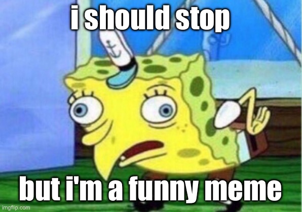 Mocking Spongebob | i should stop; but i'm a funny meme | image tagged in memes,mocking spongebob | made w/ Imgflip meme maker