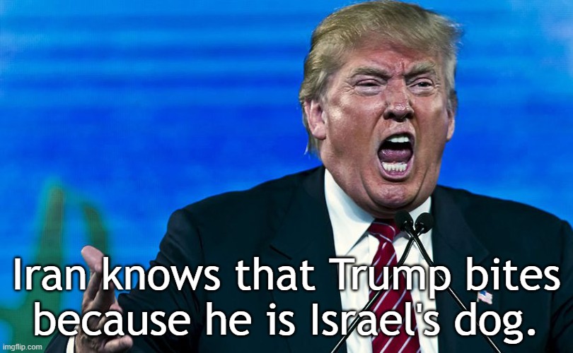 Donald Trump bites. He is Israel's dog. | Iran knows that Trump bites
because he is Israel's dog. | image tagged in donald trump,maga,israel,israel jews,iran,iranian | made w/ Imgflip meme maker