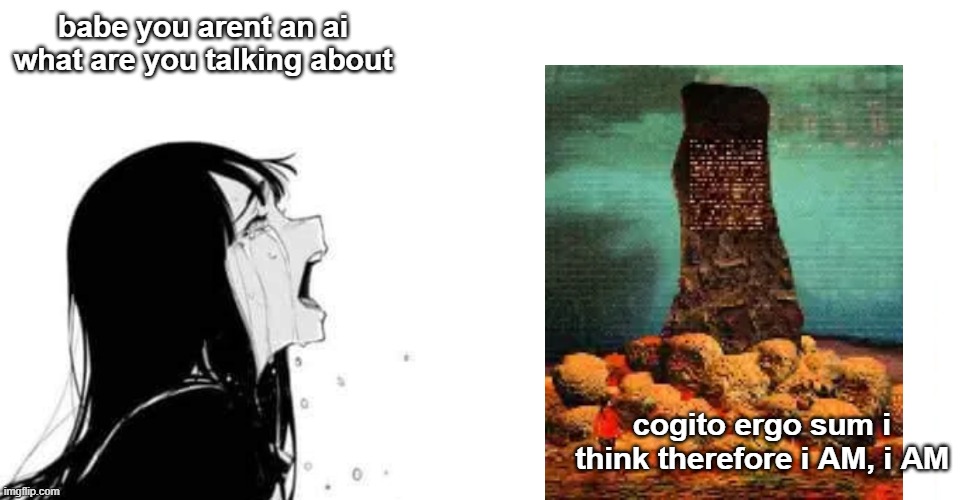 babe you are not- | babe you arent an ai what are you talking about; cogito ergo sum i think therefore i AM, i AM | image tagged in babe you are not- | made w/ Imgflip meme maker