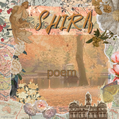 in comments | poem | image tagged in shira s sweet temp | made w/ Imgflip meme maker