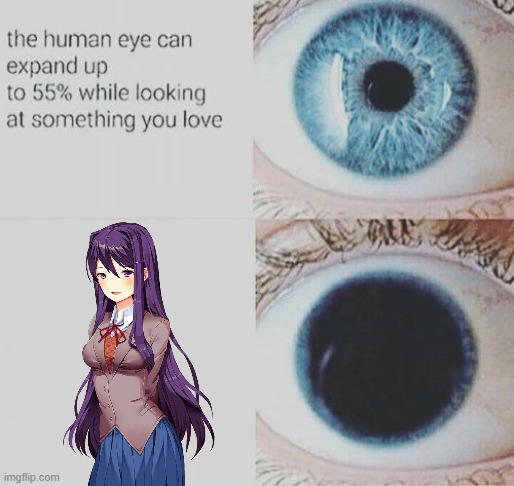 Eye pupil expand | image tagged in eye pupil expand | made w/ Imgflip meme maker