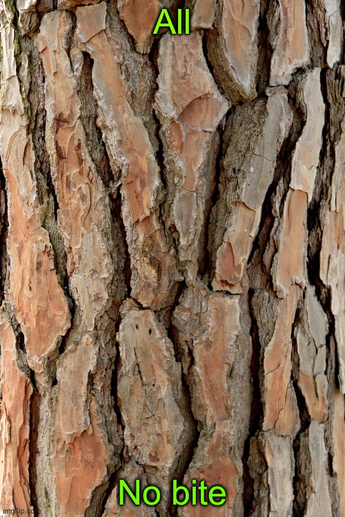all bark no bite | All; No bite | image tagged in all bark no bite | made w/ Imgflip meme maker