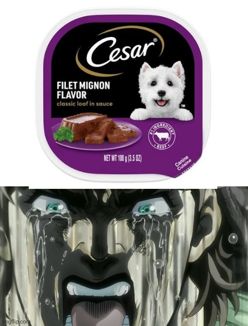 SHIIIIIIIZAAAAAAAA | image tagged in jjba,jojo's bizarre adventure,anime,memes | made w/ Imgflip meme maker