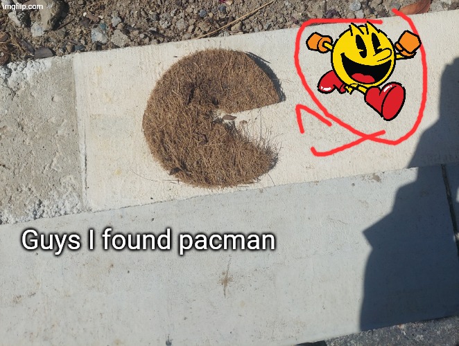 Guys I found pacman | image tagged in 17800535234269068165262699001980 jpg,pacman | made w/ Imgflip meme maker