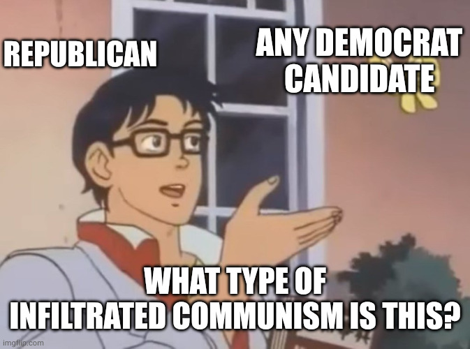 What type of | Any Democrat
candidate What type of infiltrated communism is this? Republican | image tagged in what type of | made w/ Imgflip meme maker