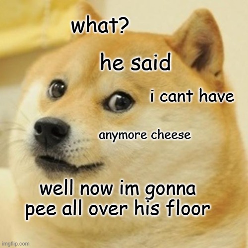 dogs be like | what? he said; i cant have; anymore cheese; well now im gonna pee all over his floor | image tagged in memes,doge | made w/ Imgflip meme maker