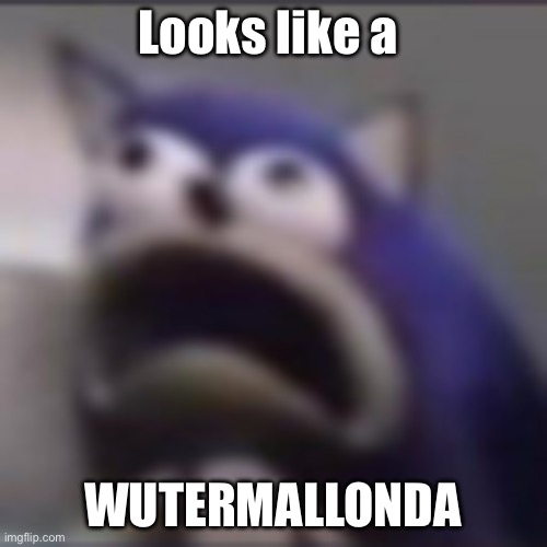 distress | Looks like a WUTERMALLONDA | image tagged in distress | made w/ Imgflip meme maker