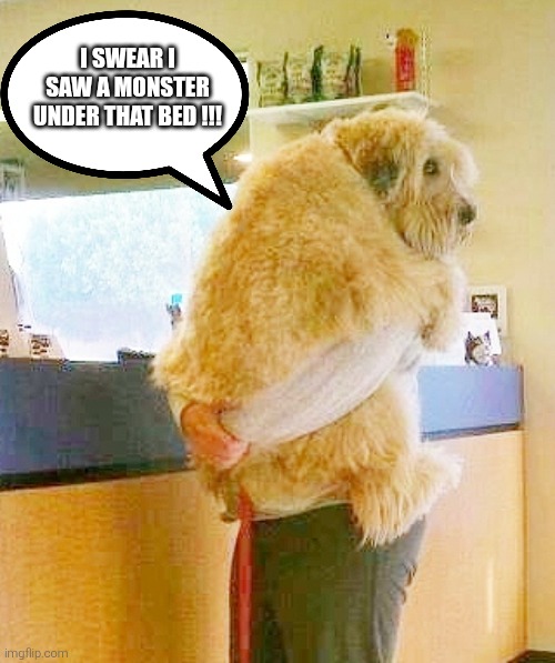 Dog Afraid at Vet | I swear I saw a MONSTER under that bed !!! | image tagged in dog afraid at vet | made w/ Imgflip meme maker