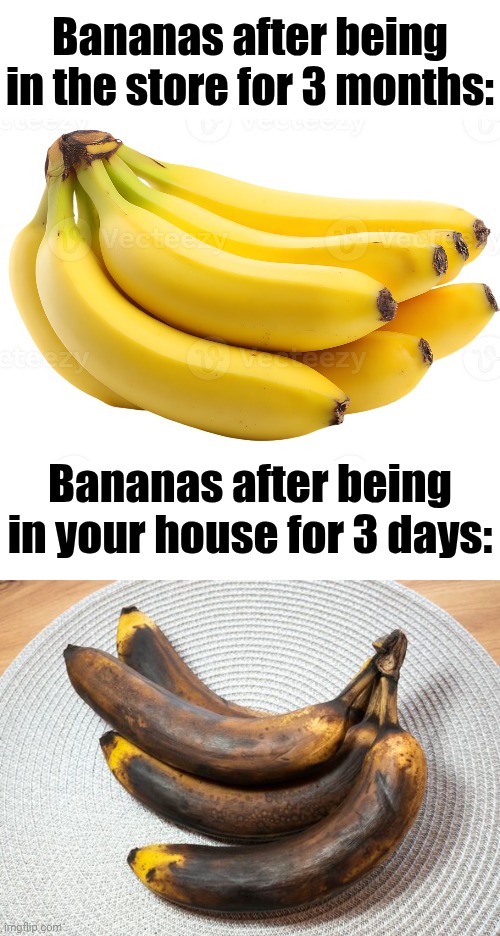 Title⁷⁰ | Bananas after being in the store for 3 months:; Bananas after being in your house for 3 days: | image tagged in funny,meme,memes,funny meme,funny memes,relatable | made w/ Imgflip meme maker