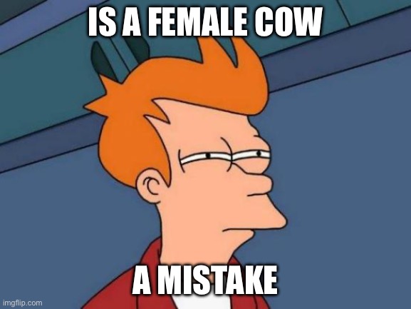 Say it out loud | Is a female cow; A mistake | image tagged in memes,futurama fry,steak,cow,big thighs,what alex loves | made w/ Imgflip meme maker