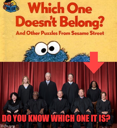 Another 8-1 Ruling | Do you know which one it is? | image tagged in gifs,supreme court,brown,incompetence | made w/ Imgflip meme maker