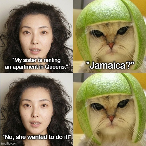 Jamaica Rent It? | "My sister is renting an apartment in Queens."; "Jamaica?"; "No, she wanted to do it!" | image tagged in young woman,cat in lime helmet,jamaica,queens | made w/ Imgflip meme maker