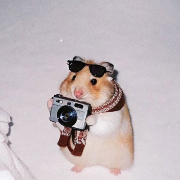 Photo Hamster Blank Meme Template