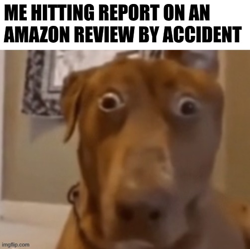 I was looking at fake Nintendo Joy-cons | Me hitting report on an Amazon review by accident | image tagged in scare doggo,amazon,relatable | made w/ Imgflip meme maker