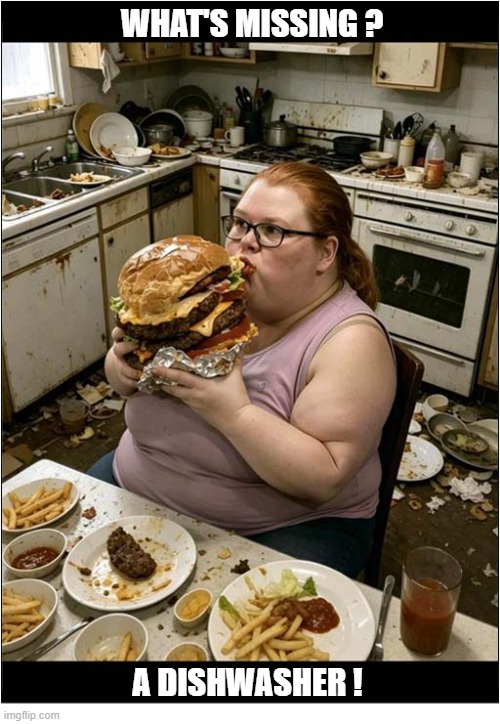 Weight Loss Regimen Not Going Well ... | What's missing ? A Dishwasher ! | image tagged in weight loss,fail,burger,dishwasher | made w/ Imgflip meme maker